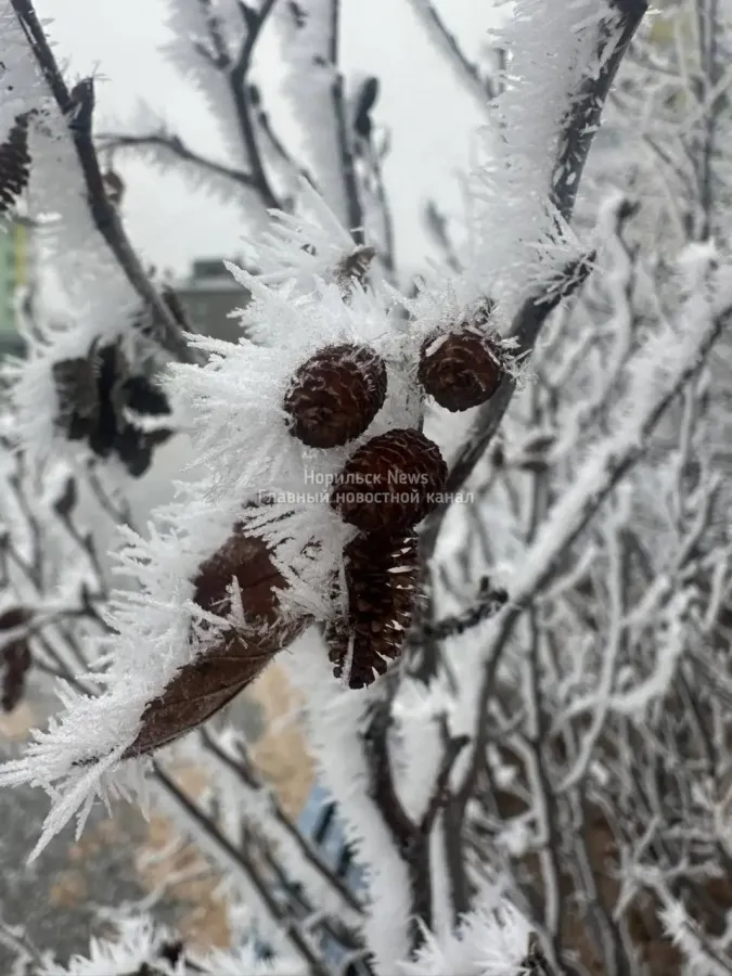 Серебряная осень в Талнахе ❄️